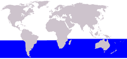 Cetacea range map Dwarf Minke Whale.png
