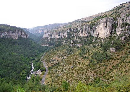 Gorges des Jontes, Cévennes