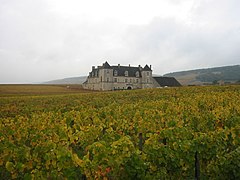 Clos-vougeot et château du Clos de Vougeot