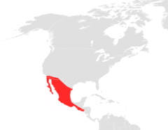 Choeronycteris mexicana map.png