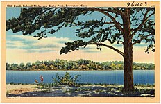 Postcard featuring Cliff Pond in Nickerson State Park