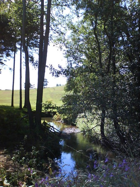 File:Cod Beck - geograph.org.uk - 536697.jpg