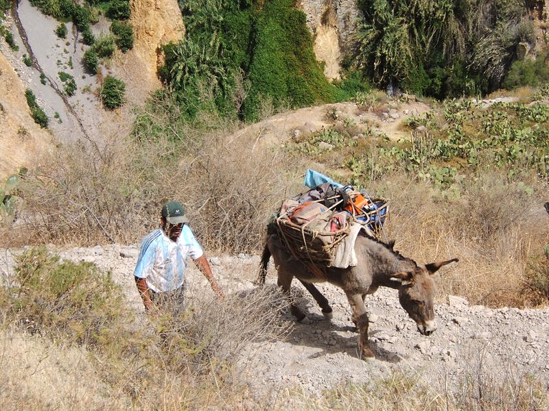 File:Colca Valley 2007 30.jpg