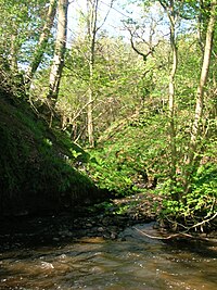 The Cowlinn Burn joining the Lugton Water at Montgreenan Castle. Cowlinnburn.JPG