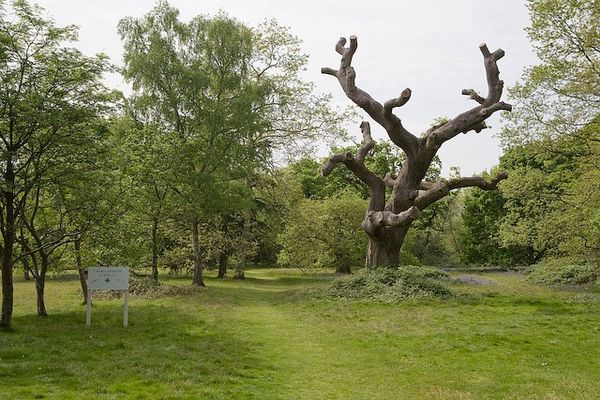 Scout Camp site in Cranbury Park