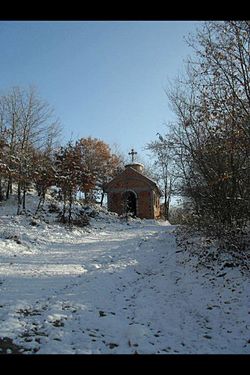 Crkva Sv. Voznesenie Hristovo, Jelosnik.jpg