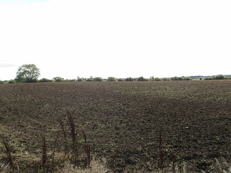 File:Cultivated arable field north of Carr Grange Farm - geograph.org.uk - 5598274.jpg