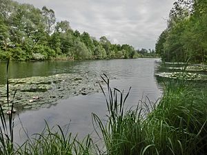 D-BW-KN-Mühlingen - Schwackenreuter Baggerseen - Rübelisbach 002.jpg