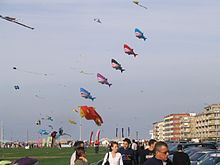 Festival international du cerf-volant.