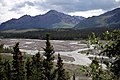 Denali wilderness - panoramio (1).jpg