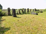 Denkmalzone Jüdischer Friedhof Worms-Heppenheim.jpg