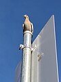 Desert Dove.jpg