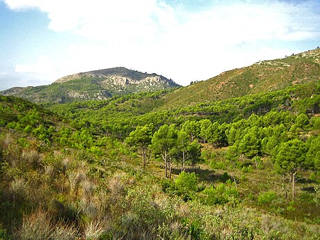 Parc Natural del Desert de les Palmes