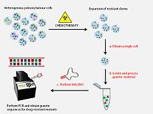 Detection of drug resistance genes using MALBAC Detection of drug resistance genes using MALBAC.jpg