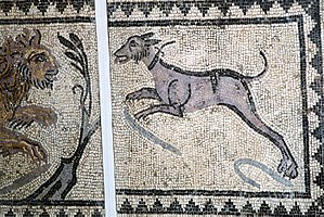 DogMosaic wb.jpg