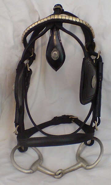 File:DrivingHarnessBridle.jpg