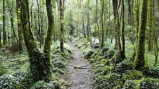 <span class="mw-page-title-main">Dromore, County Clare</span> Townland with nature reserve in County Clare, Ireland