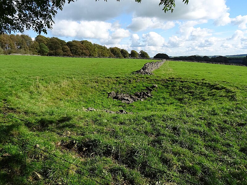 File:Dry pond by Green Lane - geograph.org.uk - 5552820.jpg