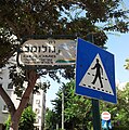 תמונה ממוזערת לגרסה מ־10:39, 3 בספטמבר 2012