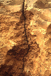 Foto von entlang einer Röhre aufgegrabenem Erdboden (Schnitt)