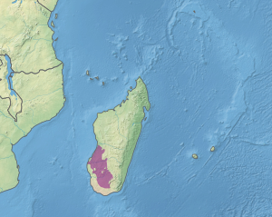 Madagaskarning janubi-g'arbiy va markaziy g'arbiy qismida suvli o'rmonzorlar ekoregioni joylashgan joyni ko'rsatadigan xarita