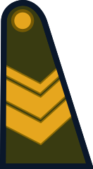 Sargento(Argentine Army)[30]