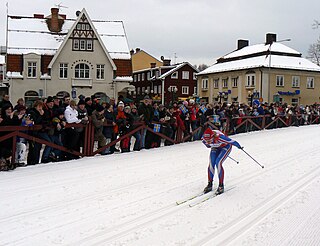 Elin Ek (cross-country skier) Swedish female cross-country skier