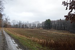 Felder und Wälder nördlich von Shippenville