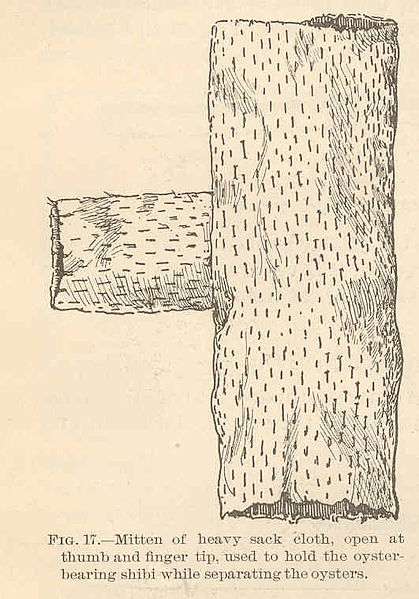 File:FMIB 40900 Mitton of heavy sack cloth, open at thumb and finger tip, used to hold the oyster-bearing shild while separating the oysters.jpeg