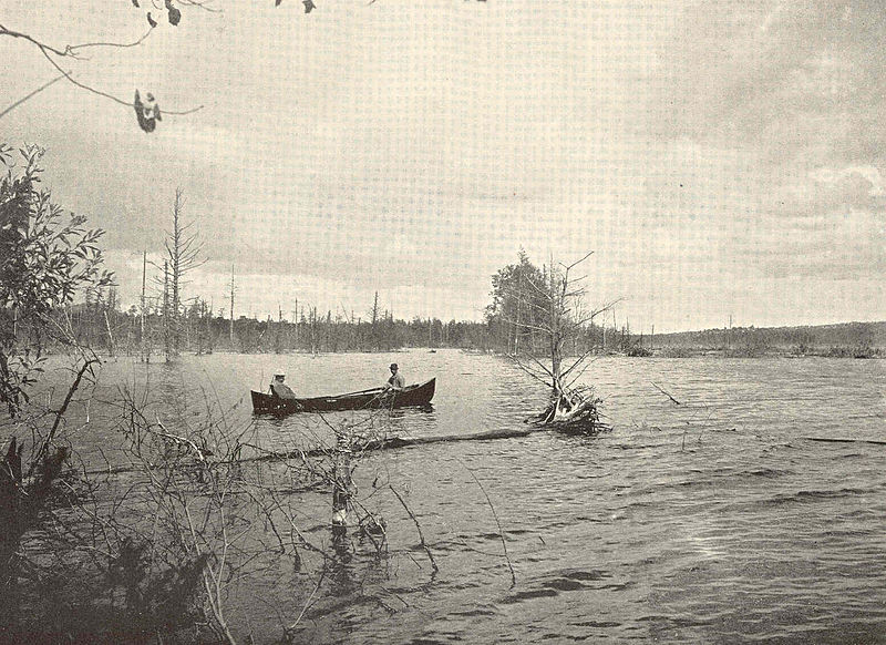 File:FMIB 43075 On the Beaver River Flowed Lands and Damage Caused by State Dam.jpeg