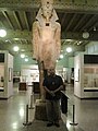 Faheem Judah-El giving a guided tour of the Ancient Egyptian, Nubian exhibit at the Oriental Institute at the University of Chicago.jpg