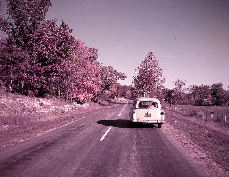 File:Fall Color on Route 8 (Missouri State Archives) (8204307130).jpg