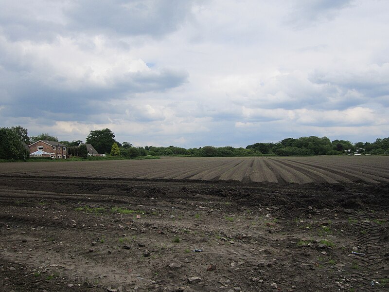 File:Field at Prescot Road, Aughton.jpg