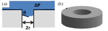 (a) and (b) cylindrical pore with parameters for calculating LEP (Young-Laplace model) Fig 1. - Membrane Pore and LEP.png