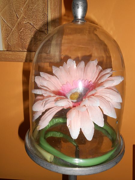 File:Flor en cúpula.jpg