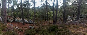 Gorges du Houx.