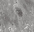English: Franklin lunar crater as seen from Earth with satellite craters labeled
