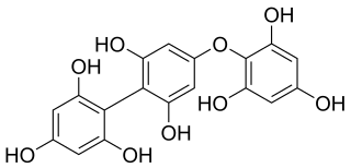 Fucophlorethol A Chemical compound