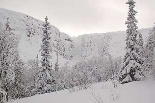 Fulufjället National Park in winter