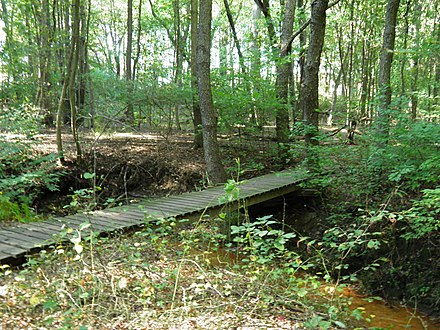 RCGC trail GCC Trails.jpg