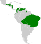 Galbula ruficauda map.svg