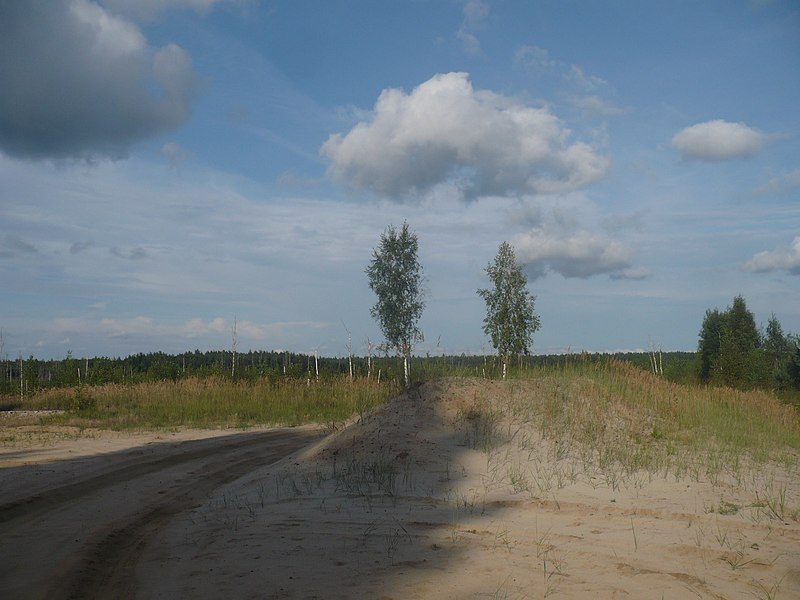 File:Garkalnes novads, Latvia - panoramio (4).jpg