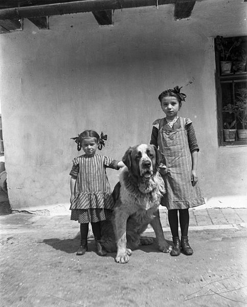 File:Girl, Saint Bernard dog Fortepan 62664.jpg