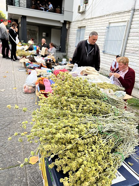 File:Gjirokastër, Albania November 2022 - Montain Tea.jpg