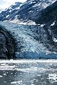 Glacier Bay - Johns Hopkins glacier calving.jpg