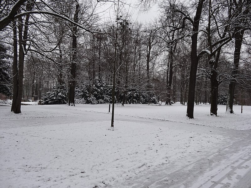 File:Großer Garten, Dresden in winter (1104).jpg