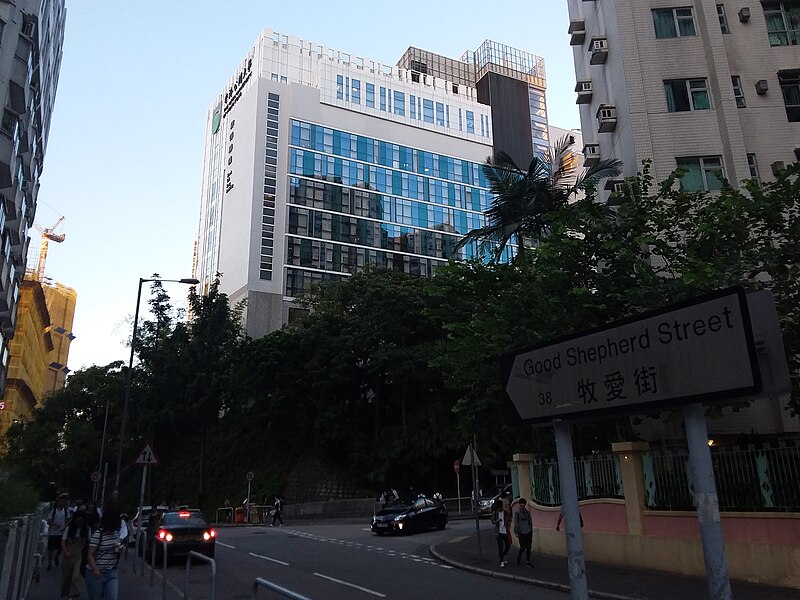 File:HK 何文田 Ho Man Tin 忠孝街 Chung Hau Street Sept 2019 SSG 11.jpg