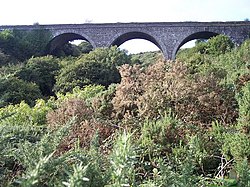 El viaducto Halfway, en el antiguo ferrocarril de Cork, Bandon y South Coast, se encuentra sobre el pueblo