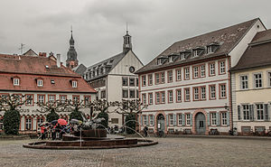 Wohnhaus Roßhirt: Denkmalgeschütztes Gebäude in Heidelberg