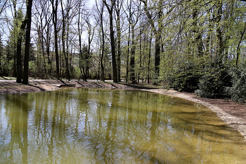 File:Hirschgarten Weiher Muenchen-1.jpg